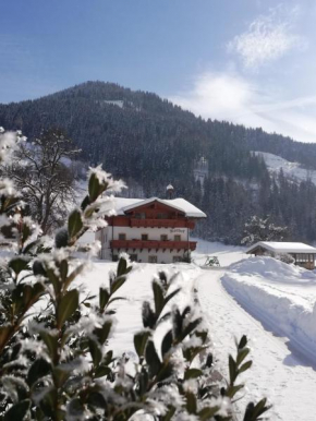 Urlaub am BIO- Bauernhof Rothof Sankt Johann Im Pongau